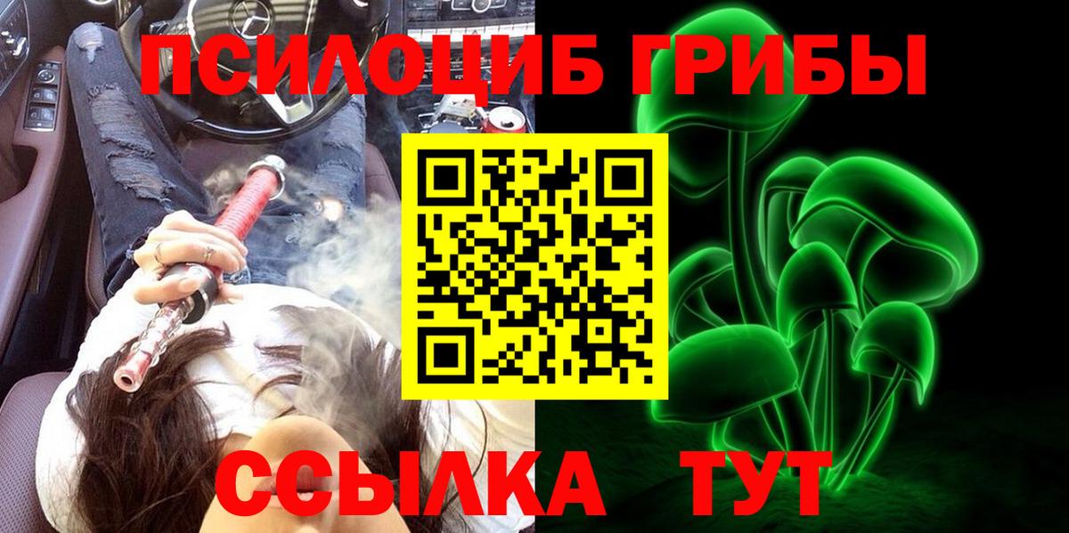 Псилоцибиновые грибы Psilocybine cubensis Белогорск