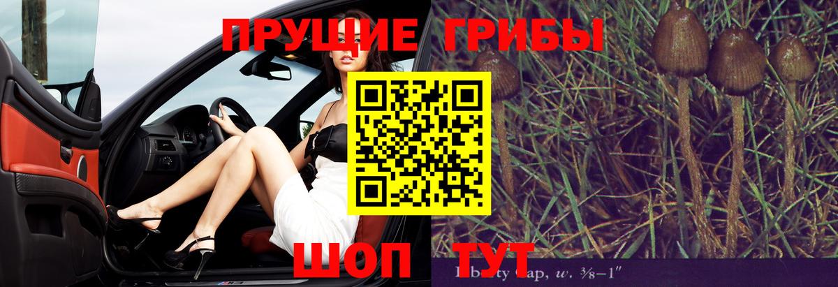 купить наркотики цена  Галлюциногенные грибы Psilocybe  Галлюциногенные грибы мицелий  Вход с VPN  Белогорск 